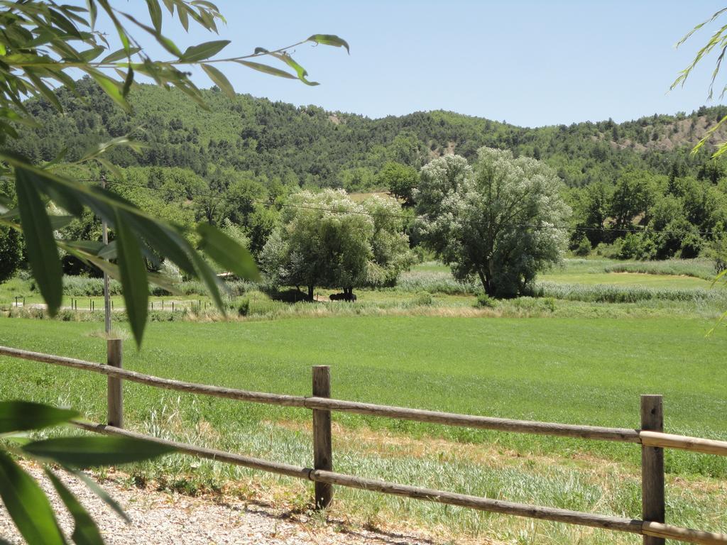 Un Gite De Charme En Haute Provence Villa Sigoyer  Стая снимка